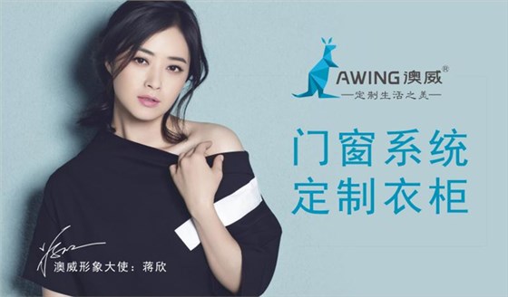 門窗系統定制衣柜